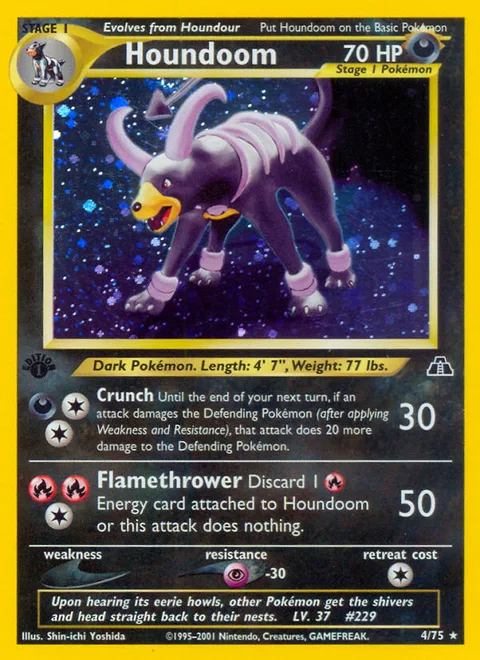 Houndoom, a Pokémon card